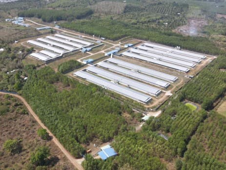 Bel Gà – Hành Trình Không Ngừng Tiến Triển Mở Rộng Thị Trường